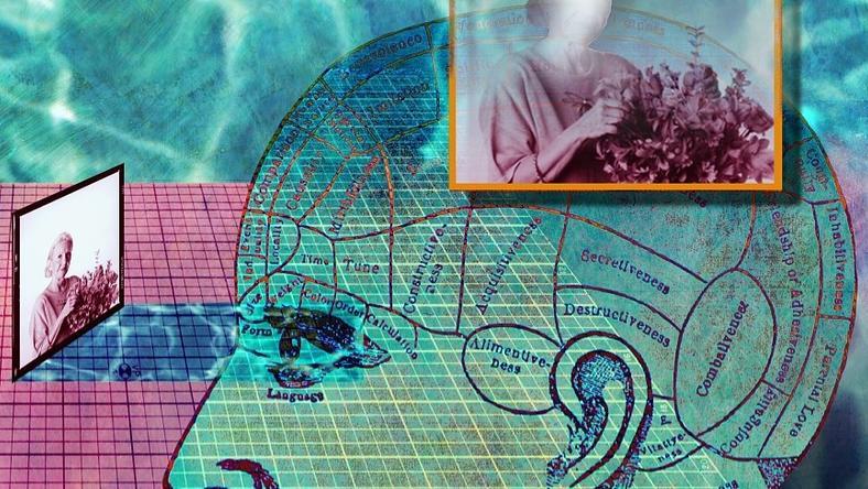 美人在骨不在皮的“颅相学”真相